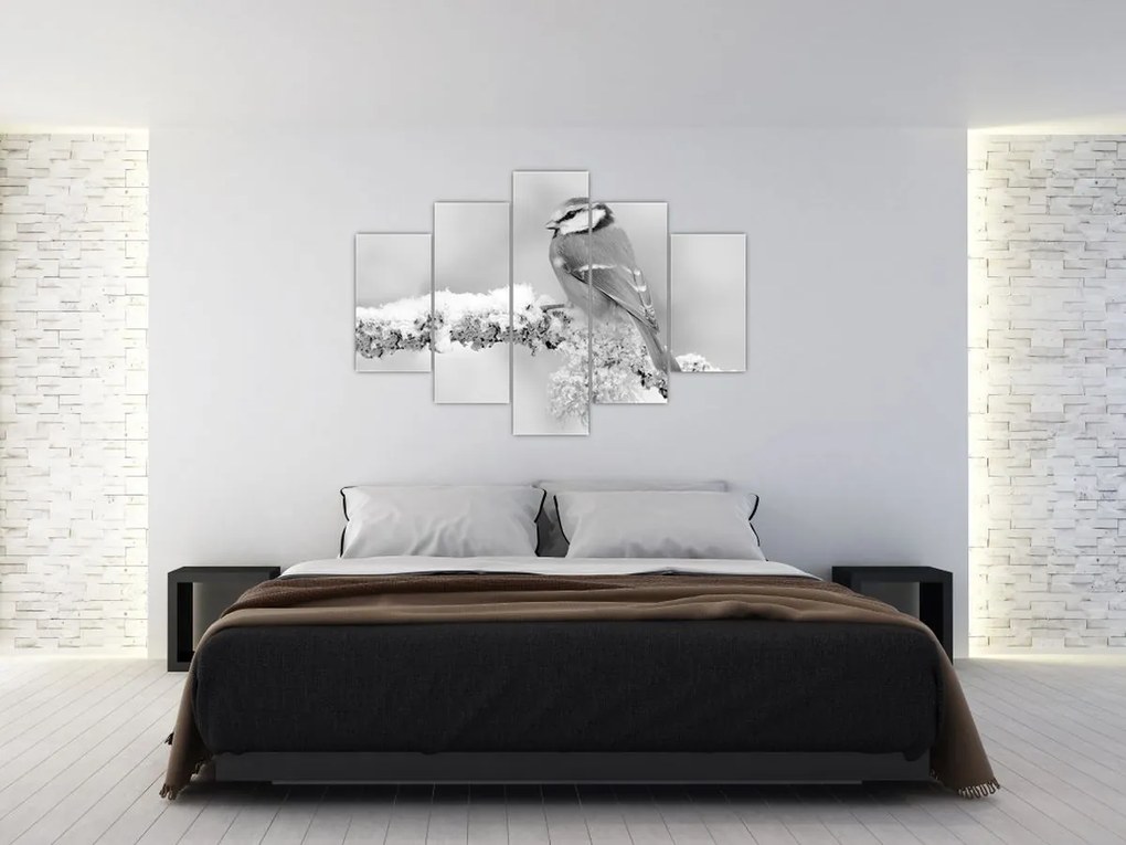 Obraz - Vtáčik na vetve (150x105 cm)