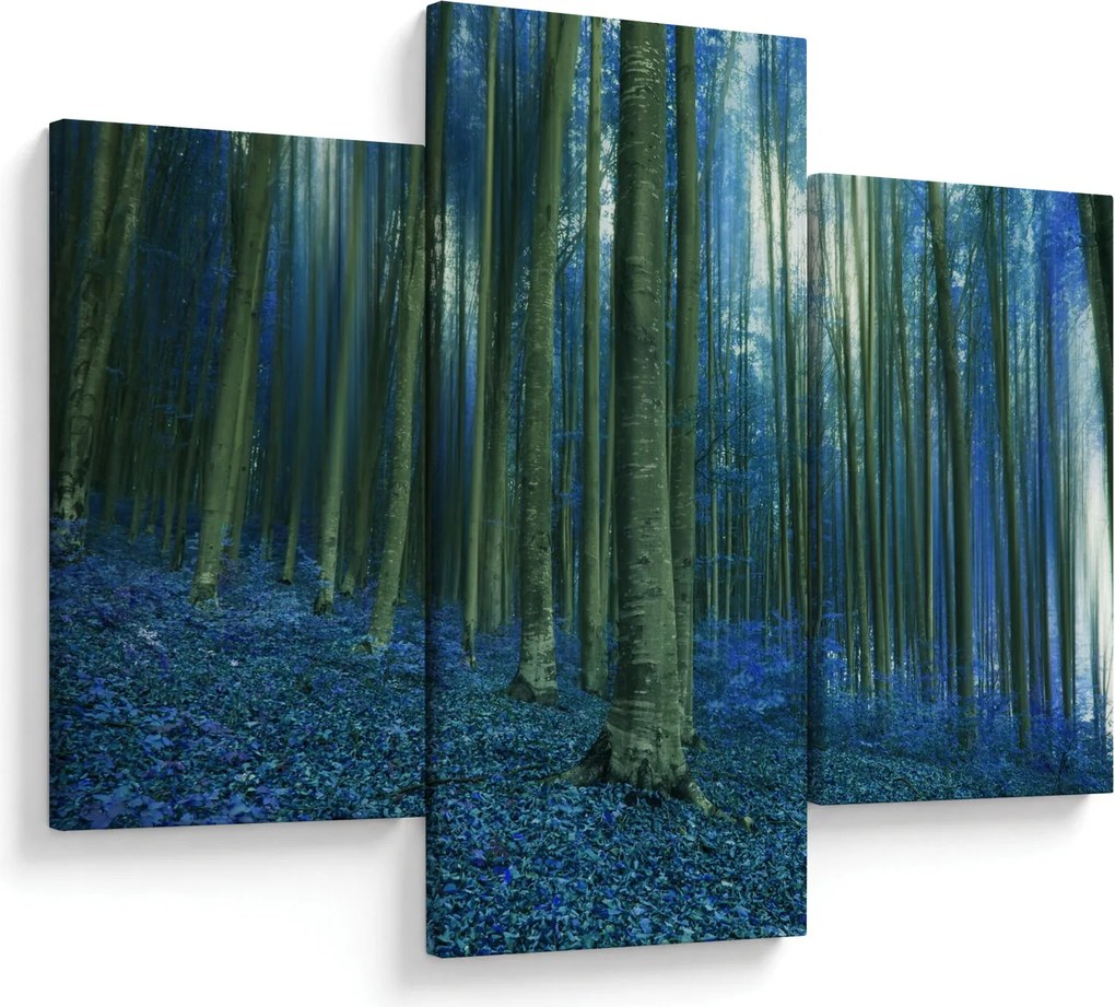 Obraz - Modrý les (90x60 cm)