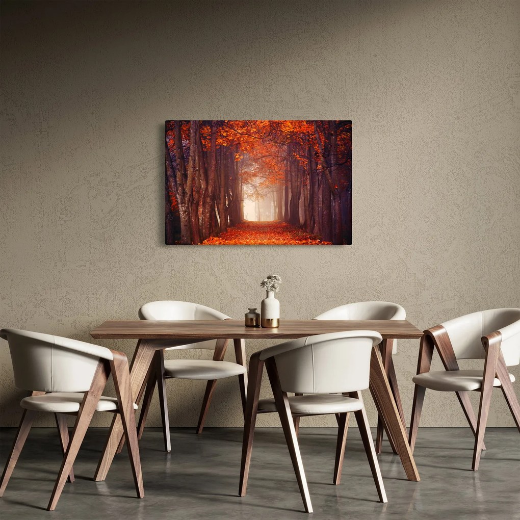 Obraz - Jesenné les (90x60 cm)