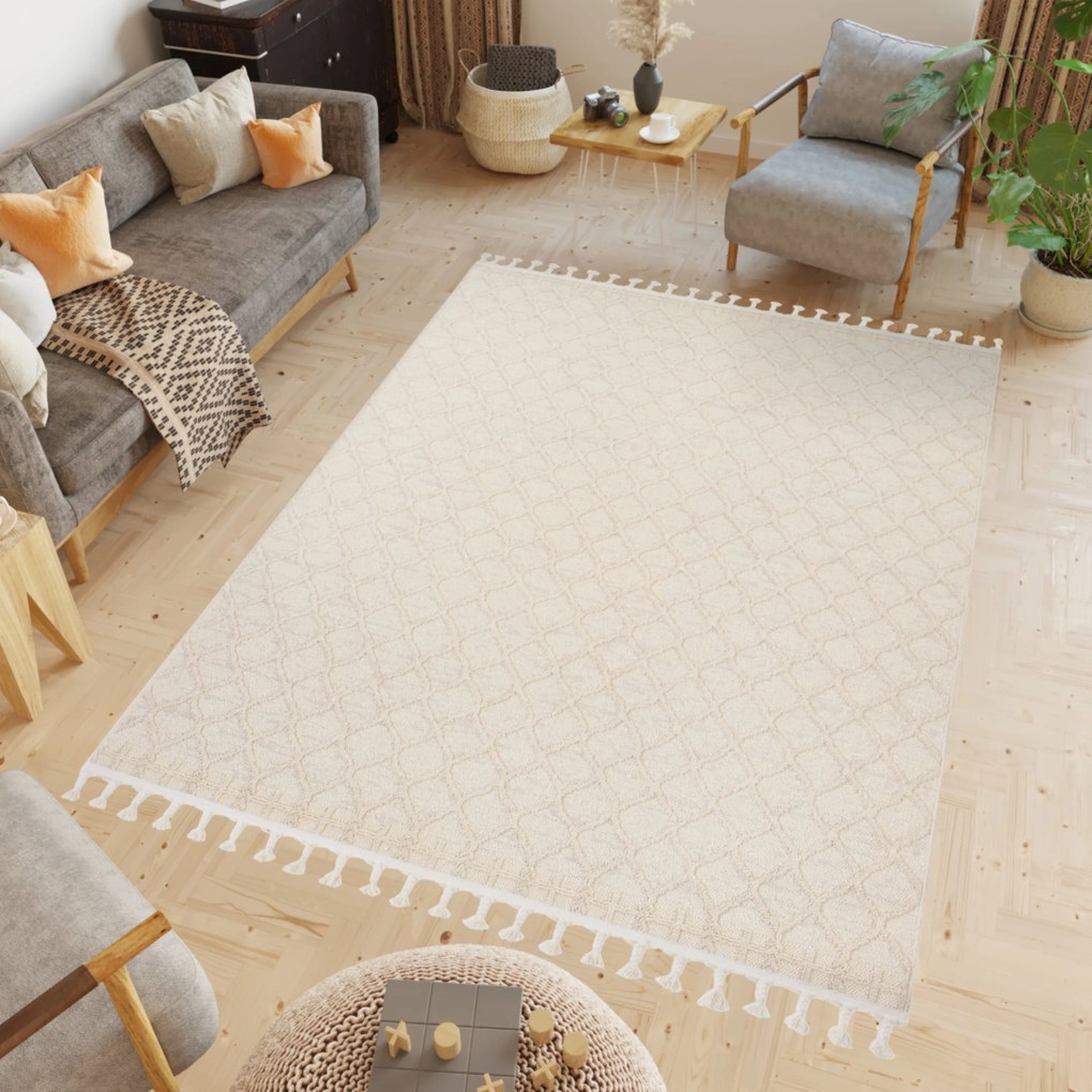 PROXIMA.store - Minimalistický koberec SAGE - RIO LOOP ROZMERY: 120x170