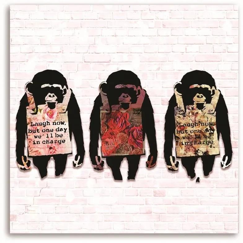 Obraz na plátně Banksyho barevný s opicí - 30x30 cm