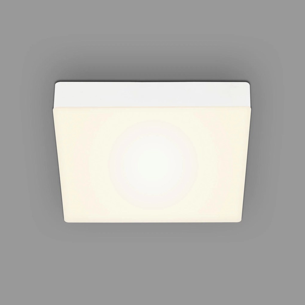 XXXLutz STROPNÉ LED SVIETIDLO, 21.2/21.2/3.6 cm - Interiérové svietidlá - 004474010602