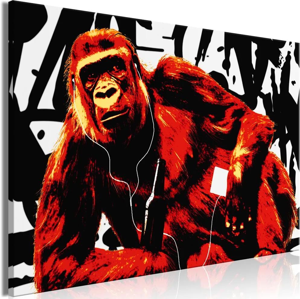 Obraz opica v pop art prevedení - Pop Art Monkey | BIANO