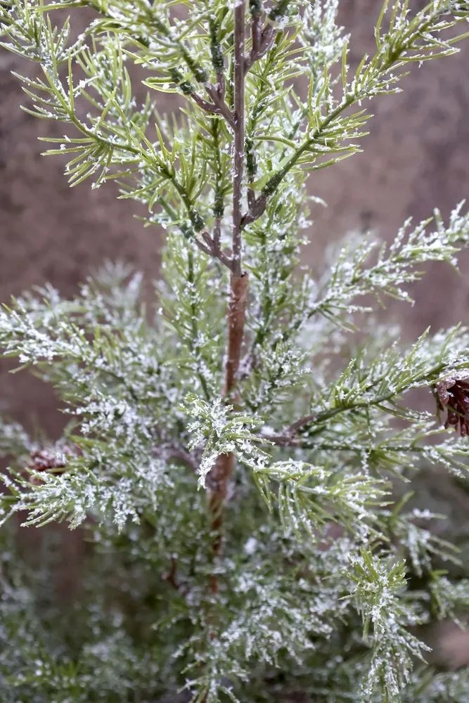 Srienistý vianočný borovicový stromček v jute a so šiškami Pine Tree - 70*150 cm