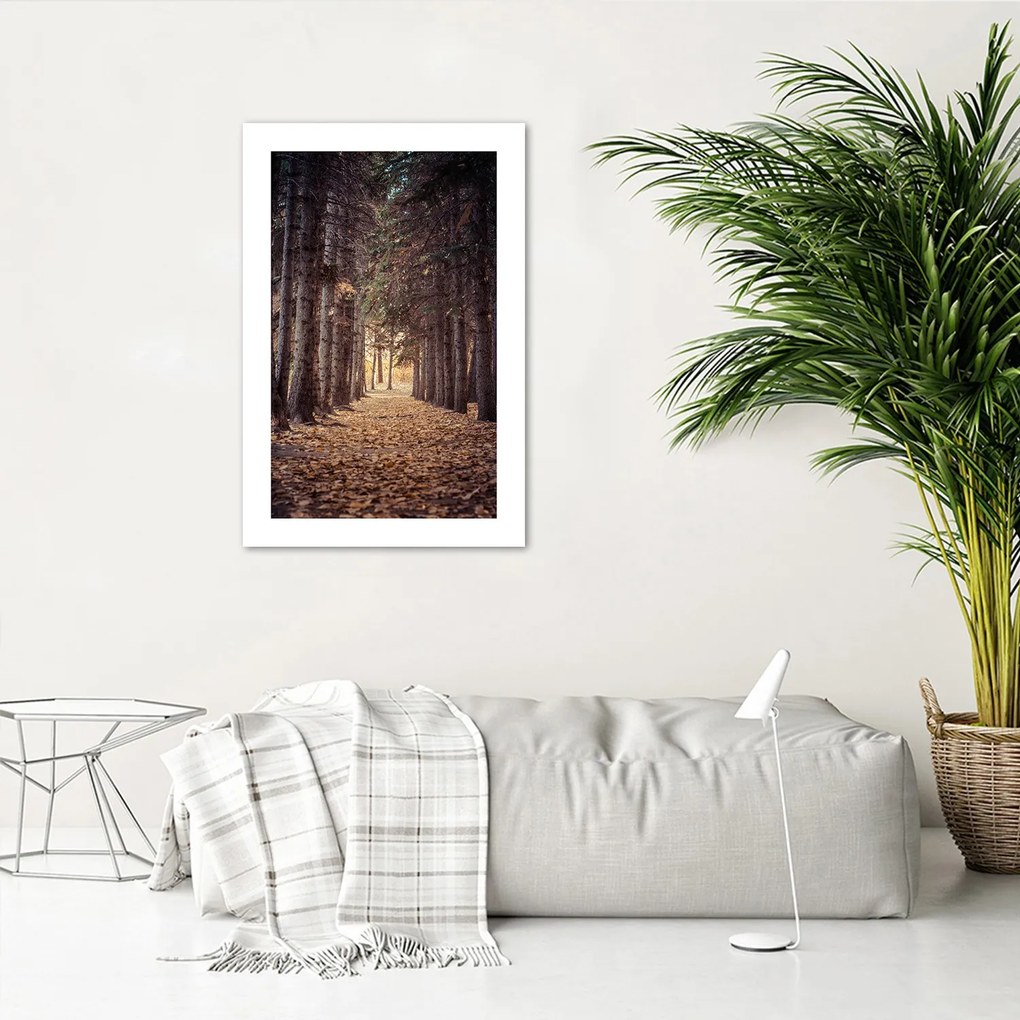 Gario Plagát Les na jeseň Farba rámu: Bez rámu, Rozmery: 30 x 45 cm