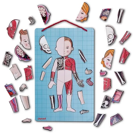 Janod - Magnetická skladačka BODYMAGNET ľudské telo