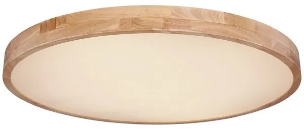 Globo 41745-60 - LED Stmievateľné stropné svietidlo RAINER LED/60W/230V + DO