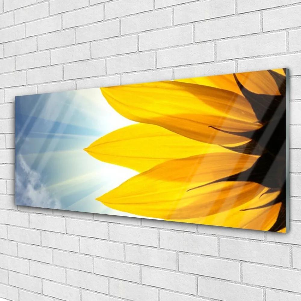Obraz na akrylátovom skle Plátky rastlina 125x50 cm