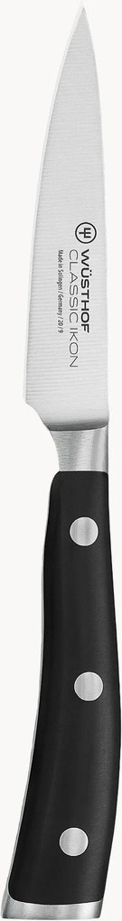 Nôž na ovocie z nehrdzavejúcej ocele Classic Icon