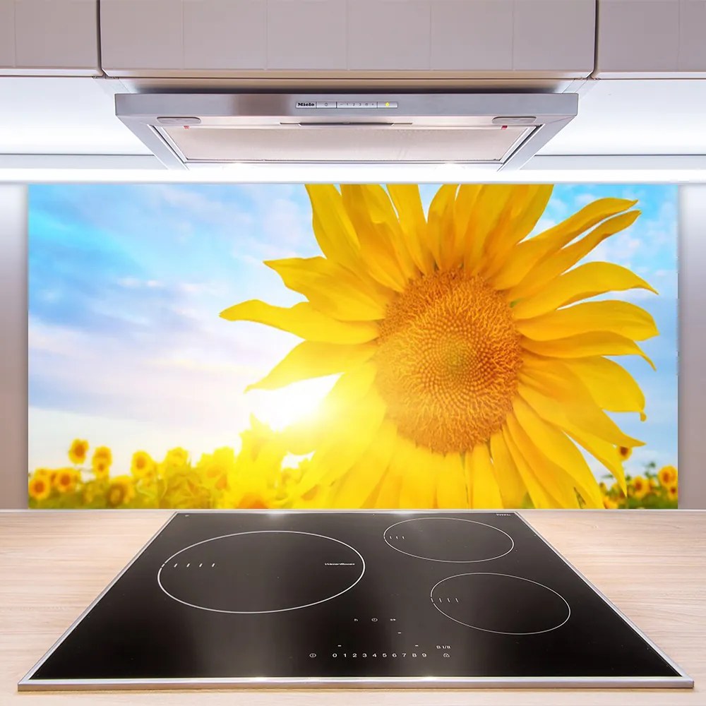 Sklenený obklad Do kuchyne Slnečnica kvet slnko 125x50 cm