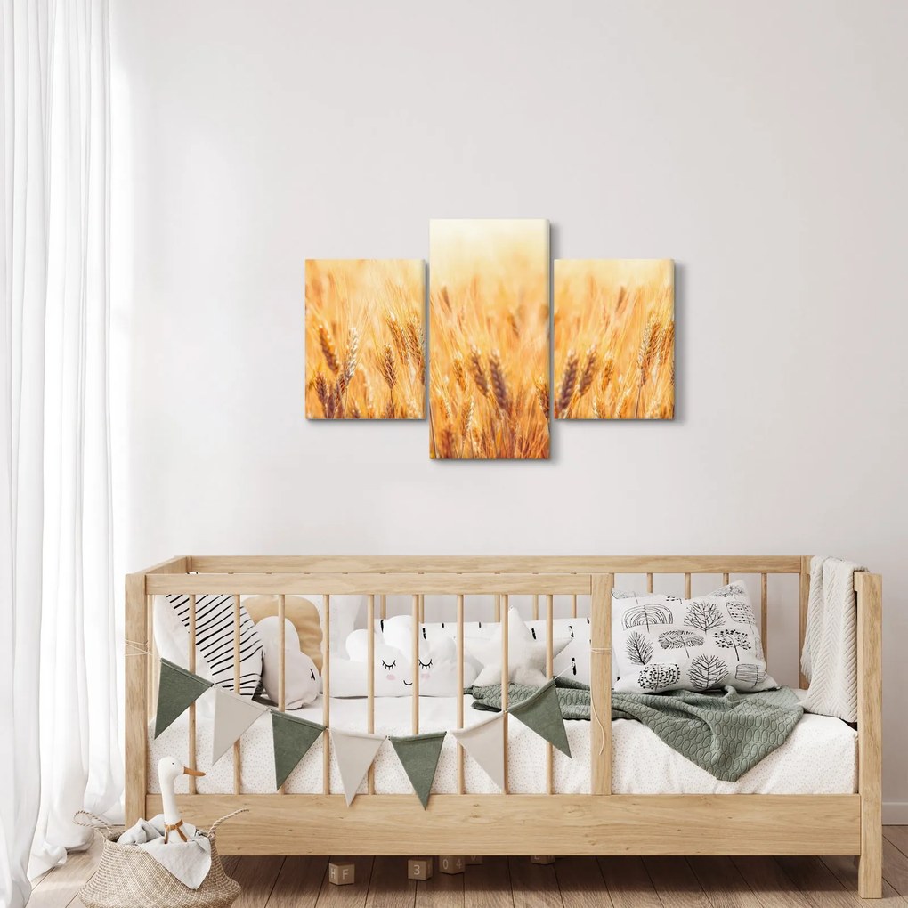 Obraz - pole s obilím (90x60 cm)