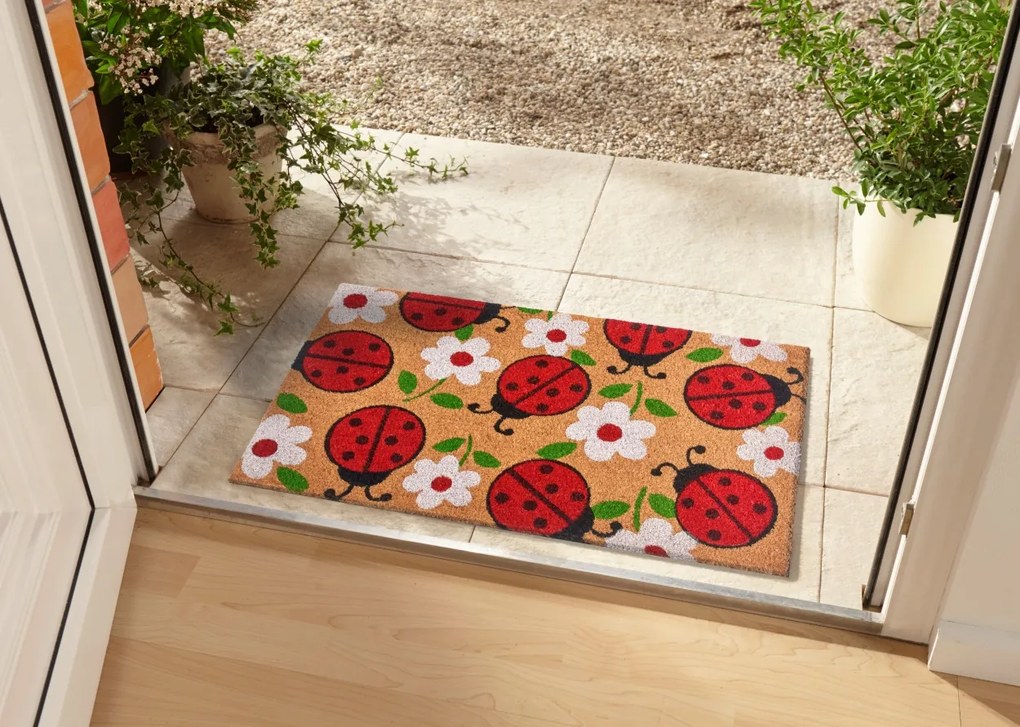 DOPREDAJ: 45x75 cm Rohožka Berušky 105578 - na ven i na doma, 45x75, hnedá, chodba / predsieň, Hanse Home