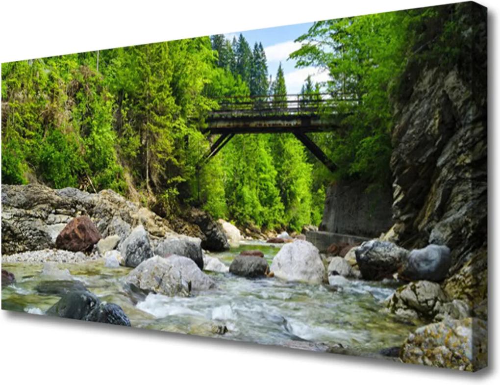 Obraz Canvas Drevený Most v Lese
