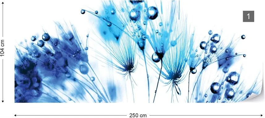 Fototapeta GLIX - Dandelion Blue And White + lepidlo ZADARMO Vliesová tapeta  - 250x104 cm