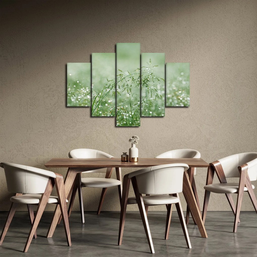 Obraz - Ranná rosa na steblach trávy (150x105 cm)
