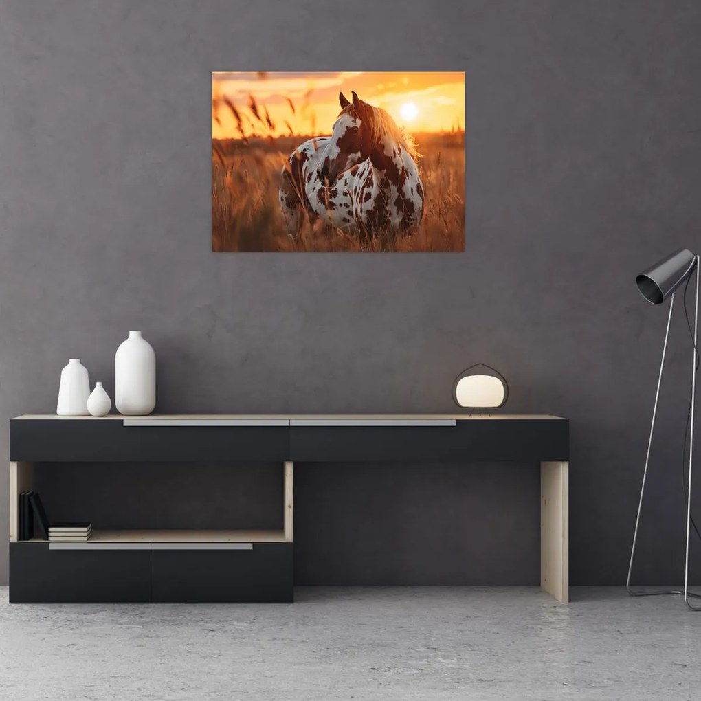 Obraz - Kôň pri západe slnka (70x50 cm)