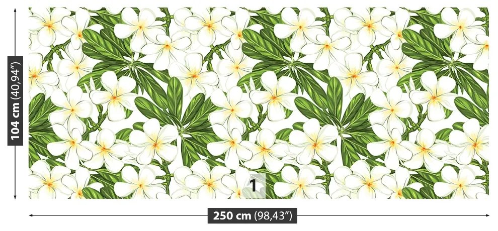 Fototapeta Vliesová Plumeria kvety 152x104 cm