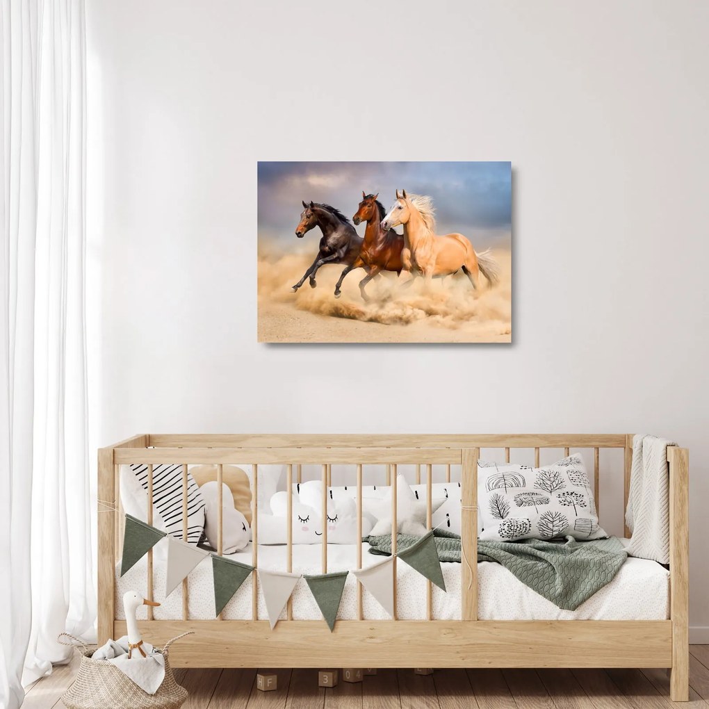 Sklenený obraz - Divé kone (70x50 cm)