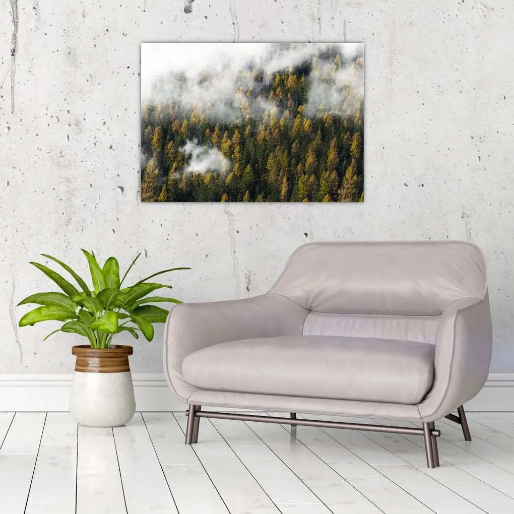 Sklenený obraz lesa v mrakoch (70x50 cm)