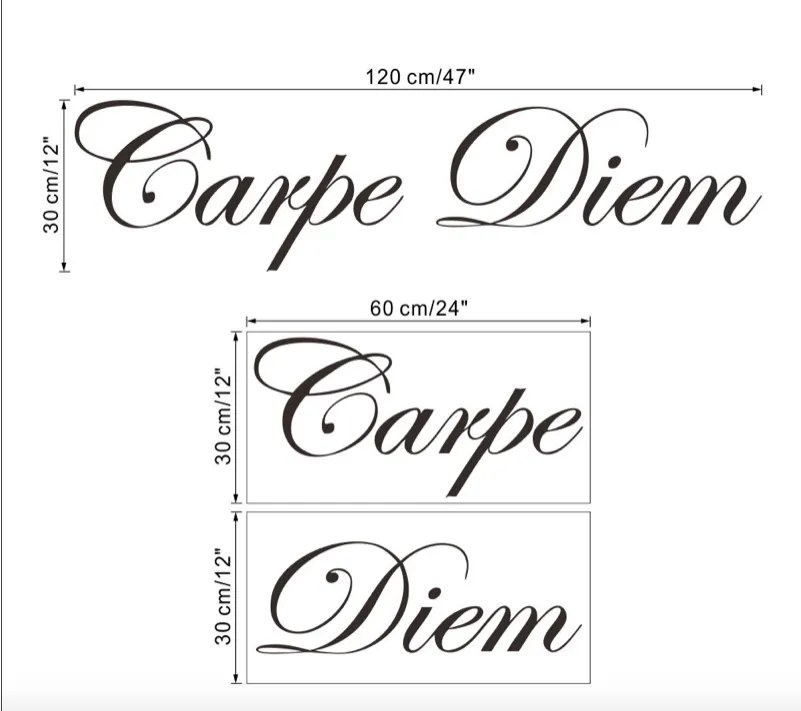 Samolepka na stenu "Carpe Diem" 30x120cm