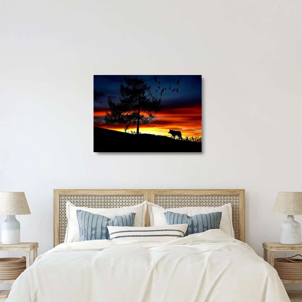 Sklenený obraz - Silueta vlka (70x50 cm)