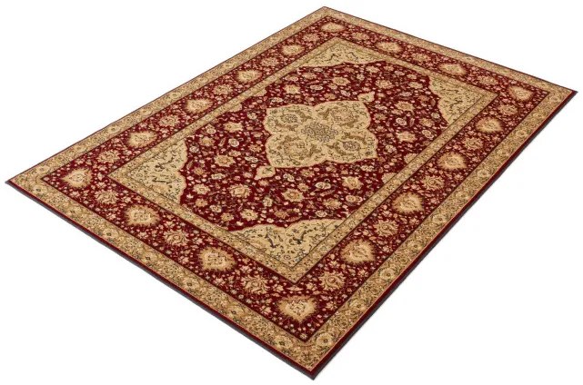 Koberec Agnella Standard Diktum Bordo