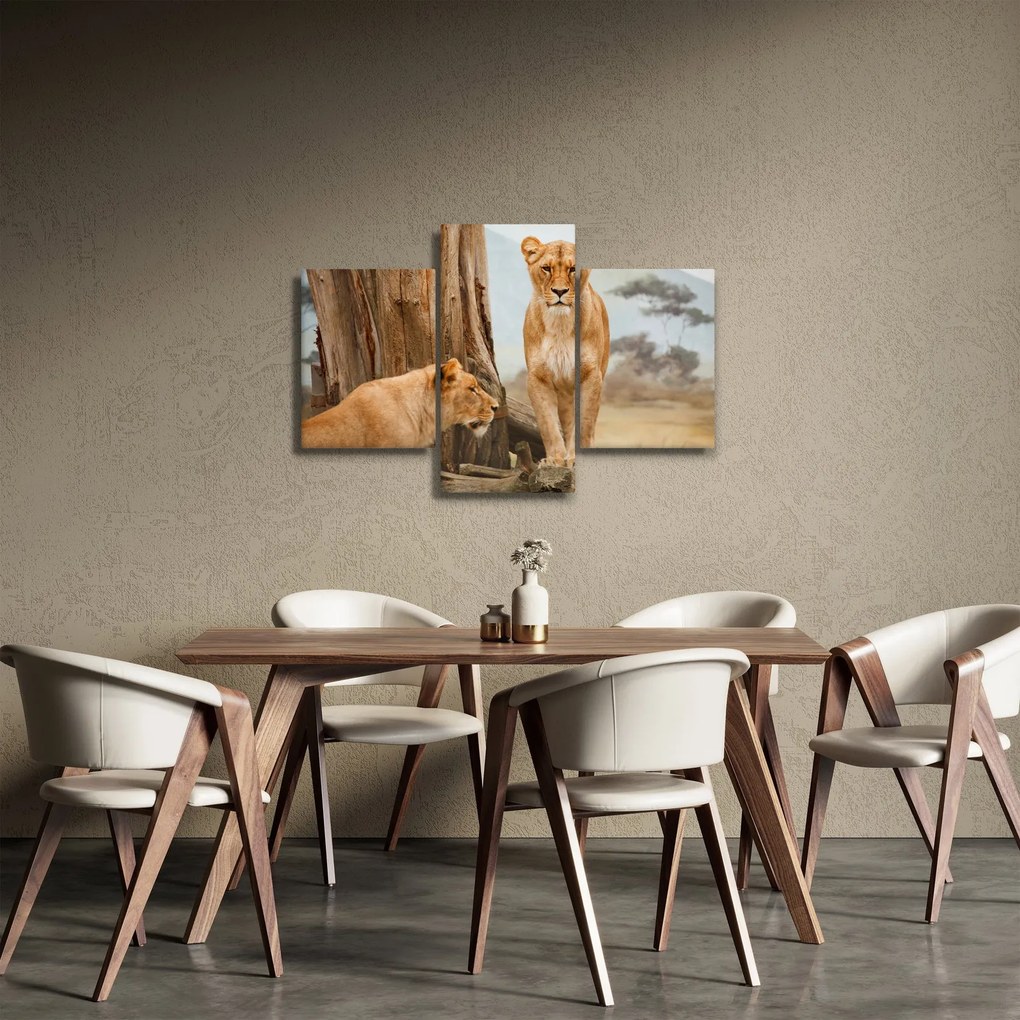 Obraz - dve levice (90x60 cm)
