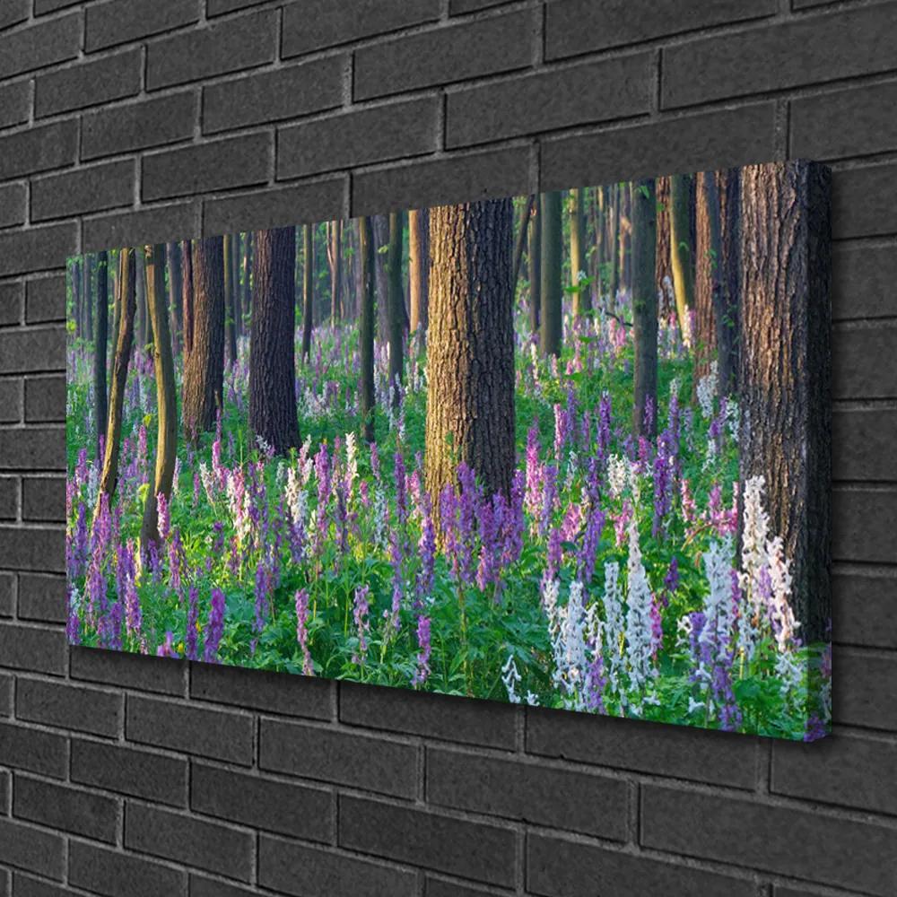 Obraz na plátne Les kvety príroda 120x60 cm