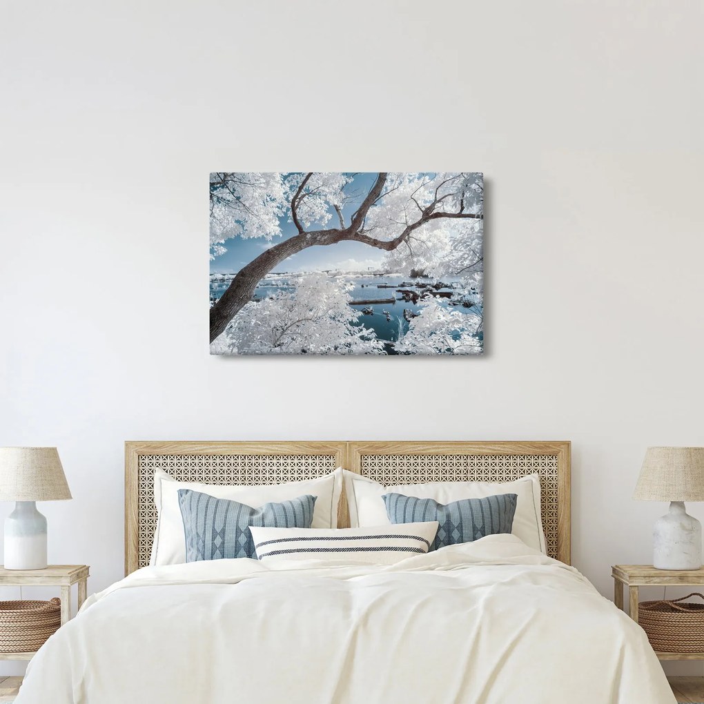 Obraz zasneženého stromu pri vode (90x60 cm)