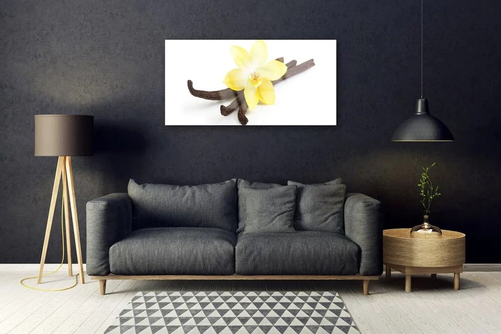 Skleneny obraz Vanilka rastlina príroda 125x50 cm
