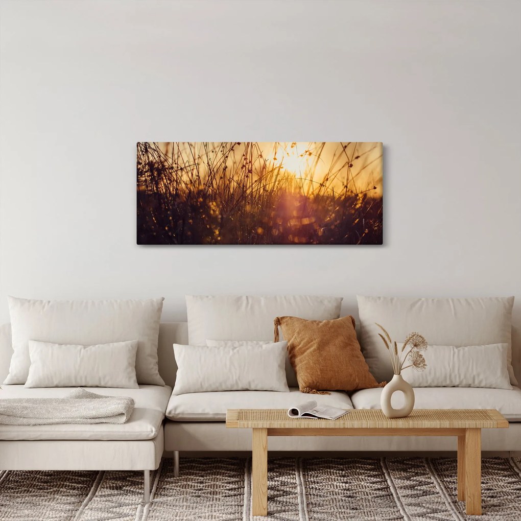 Obraz poľa pri západe slnka (120x50 cm)