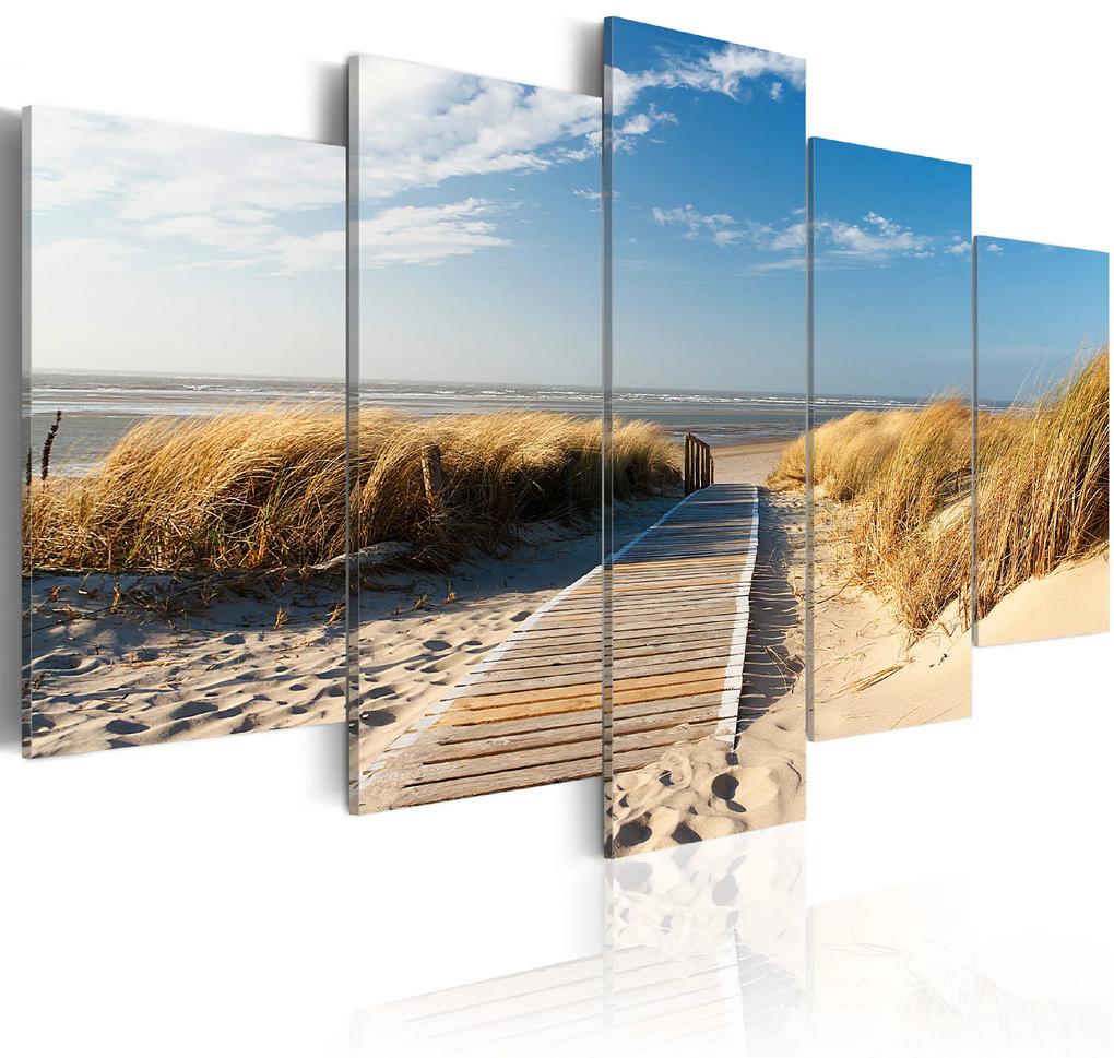 Artgeist Obraz - Unguarded beach - 5 pieces Veľkosť: 100x50, Verzia: Na talianskom plátne