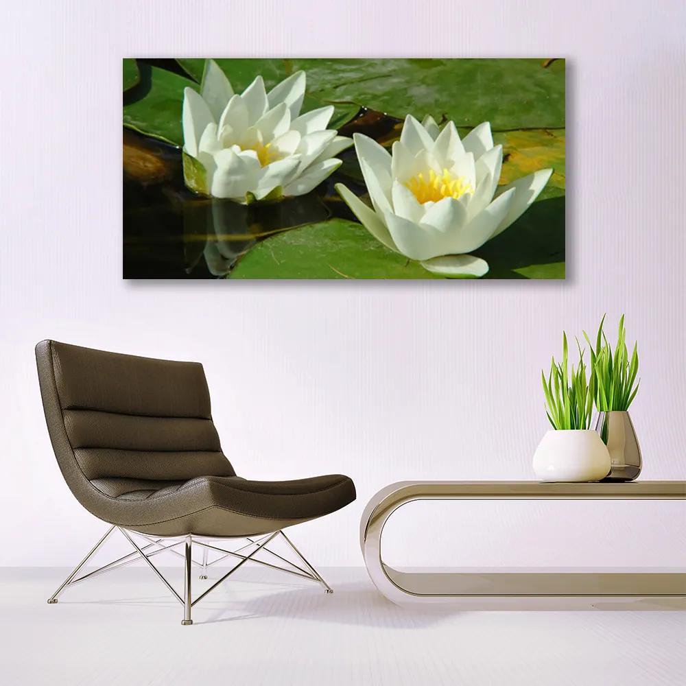 Obraz plexi Kvety rastliny príroda 120x60 cm
