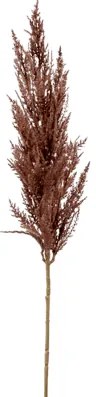 Grass pampas Branch brown 92 cm