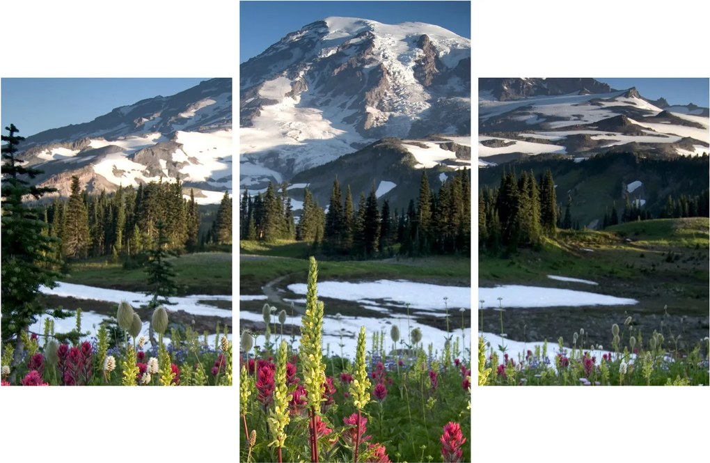 Obraz - Mount Rainier (90x60 cm)