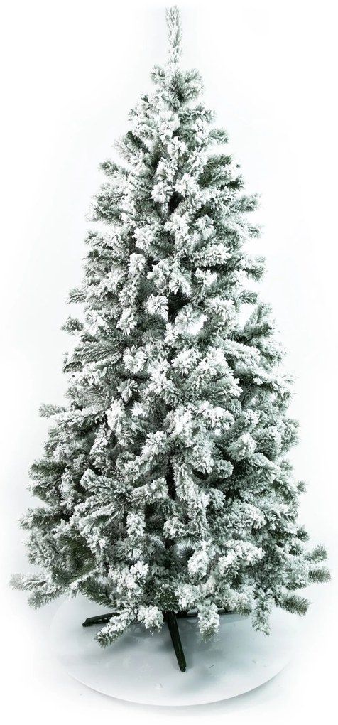 Jedlička Eliza 120cm