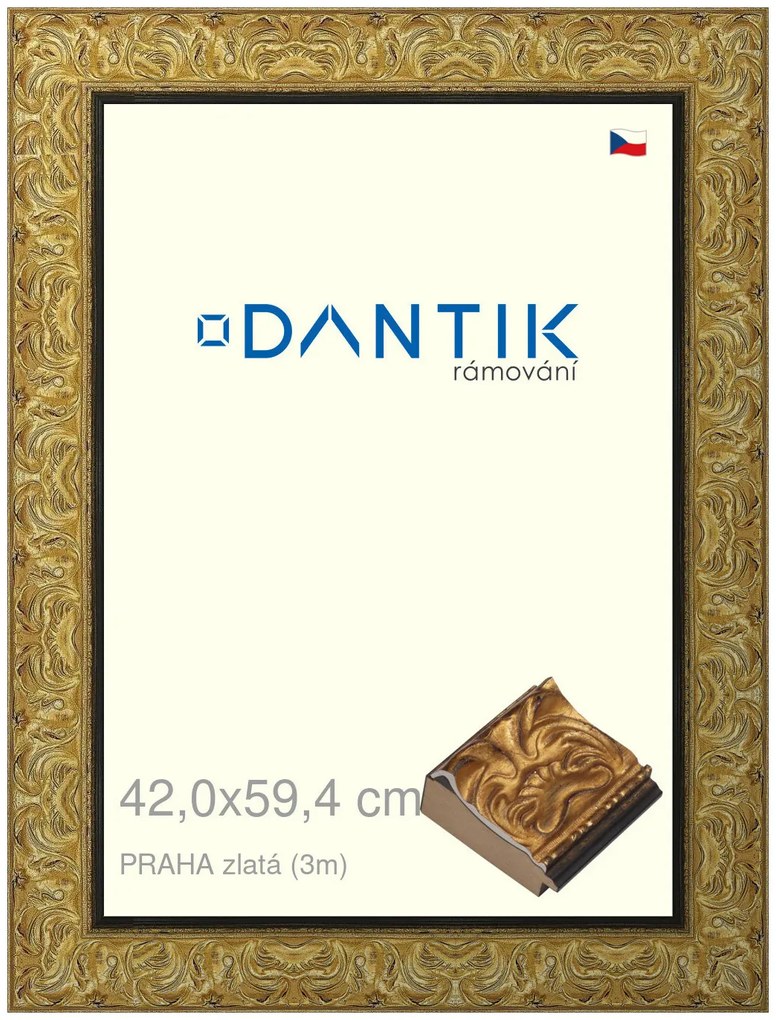 DANTIK rám na obraz 42x59,4 | PRAHA zlatá (Plexi Čiré)