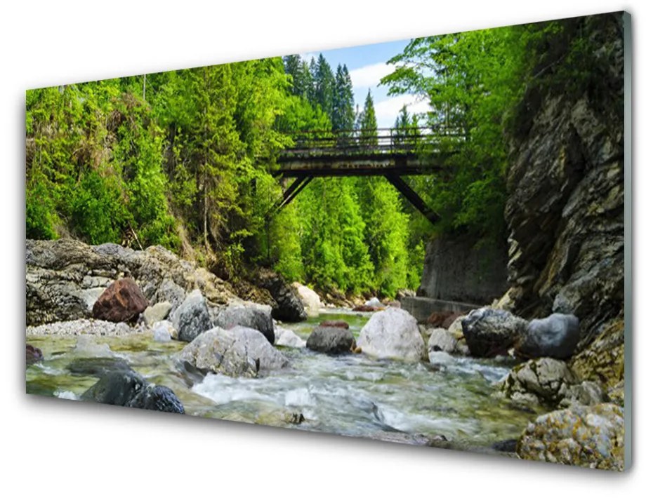Sklenený obklad Do kuchyne Drevený most v lese 140x70 cm