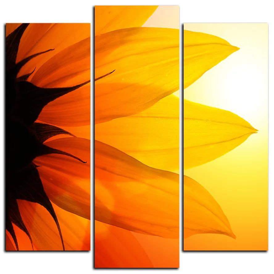 Obraz na plátne - Slnečnica kvet - štvorec 3201C (105x105 cm)