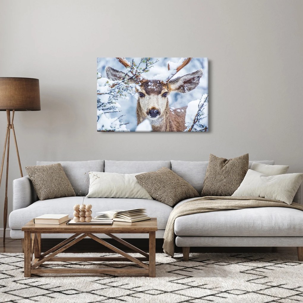 Obraz - Jelenec himalájsky (90x60 cm)