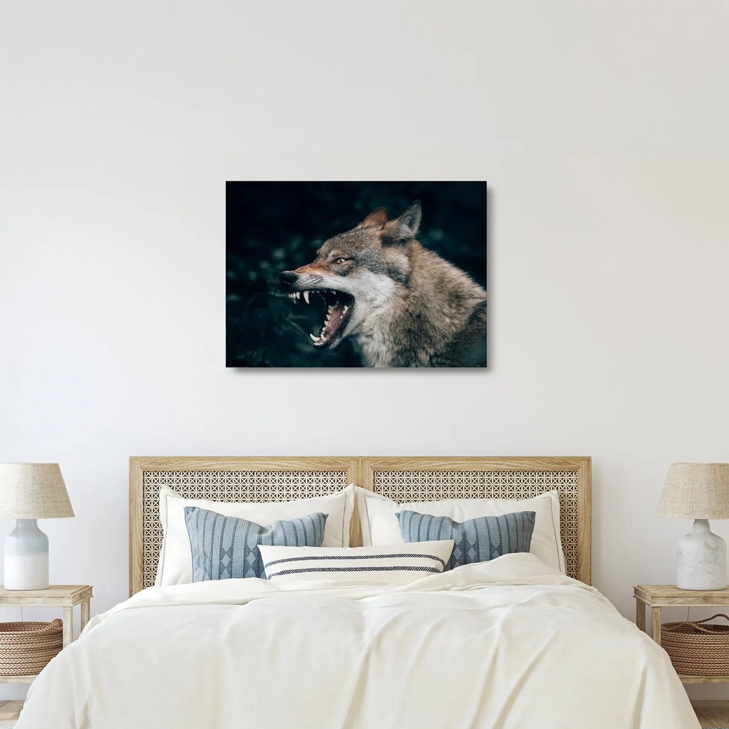 Sklenený obraz vlka (70x50 cm)