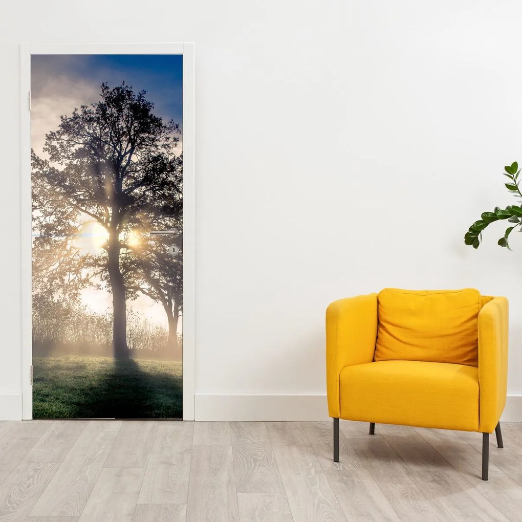 Fototapeta na dvere - Strom v hmle (95x205cm)