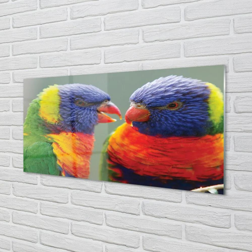 Sklenený obraz farebný papagáj 120x60 cm