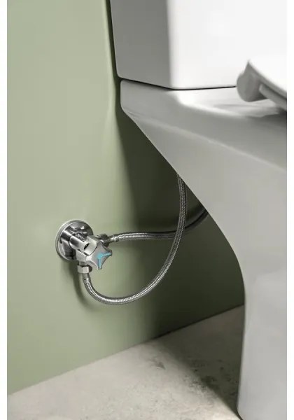 Sapho - WC kombi s bidetovou sprškou, zadné odpadové pripojenie, keramika/biela