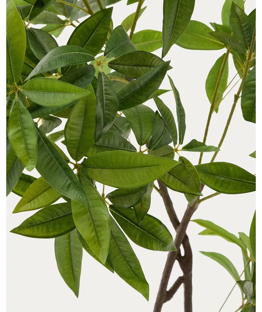 Umelá rastlina (výška 180 cm) Pachira – Kave Home