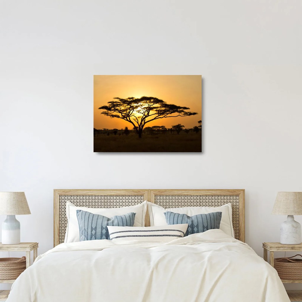 Sklenený obraz - Africká savana (70x50 cm)