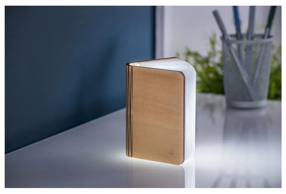 Svetelná dekorácia na USB v prírodnej farbe Booklight – Gingko
