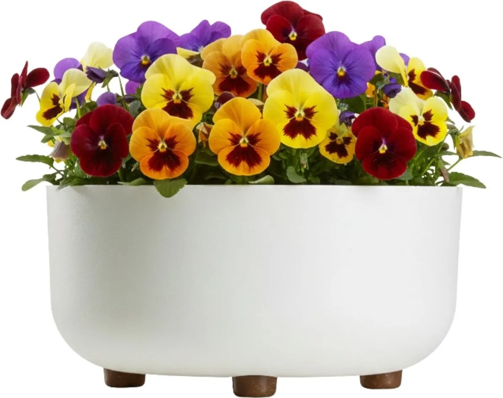PLASTOVÝ KVETINÁČ TERRA 30X14,5 CM BIELA