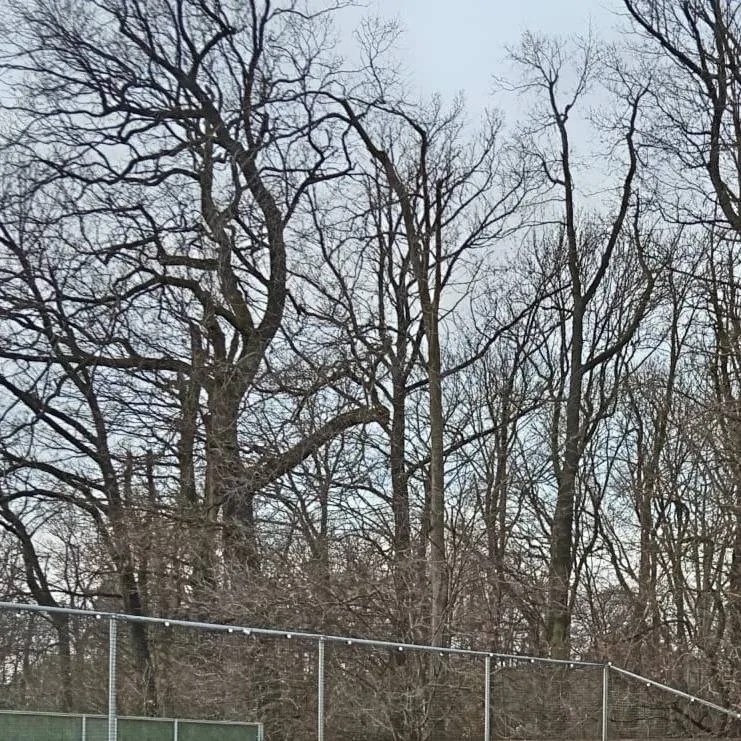 DECOLED Světelná girlanda pro žárovky s paticí E27, 50 m, 50 objímek, IP67