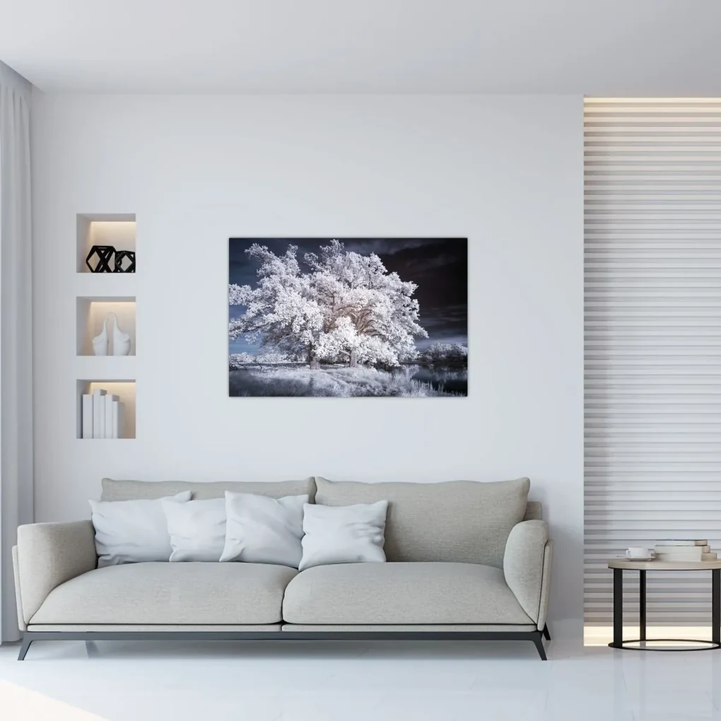 Obraz - Snehobiely strom (90x60 cm)
